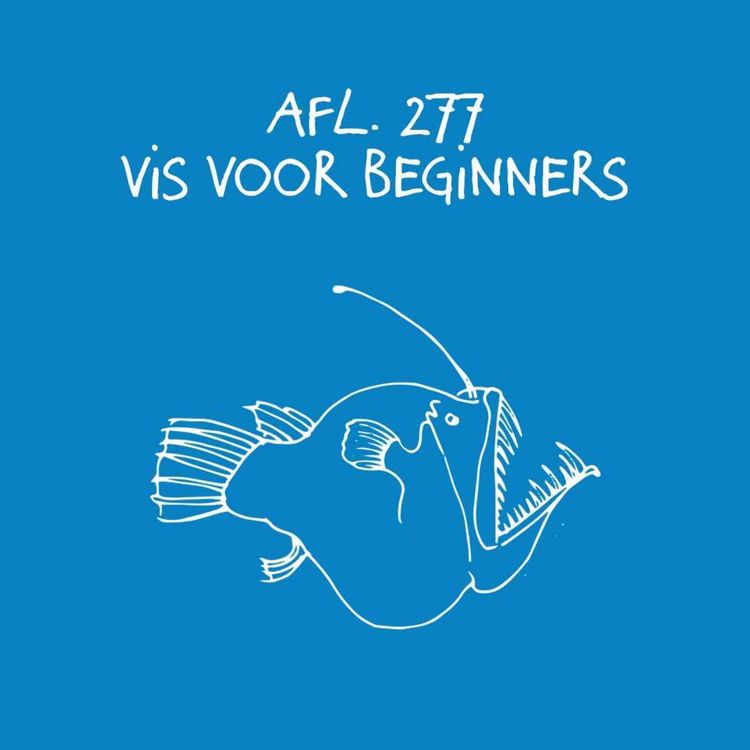cover art for #277 - Vis voor beginners