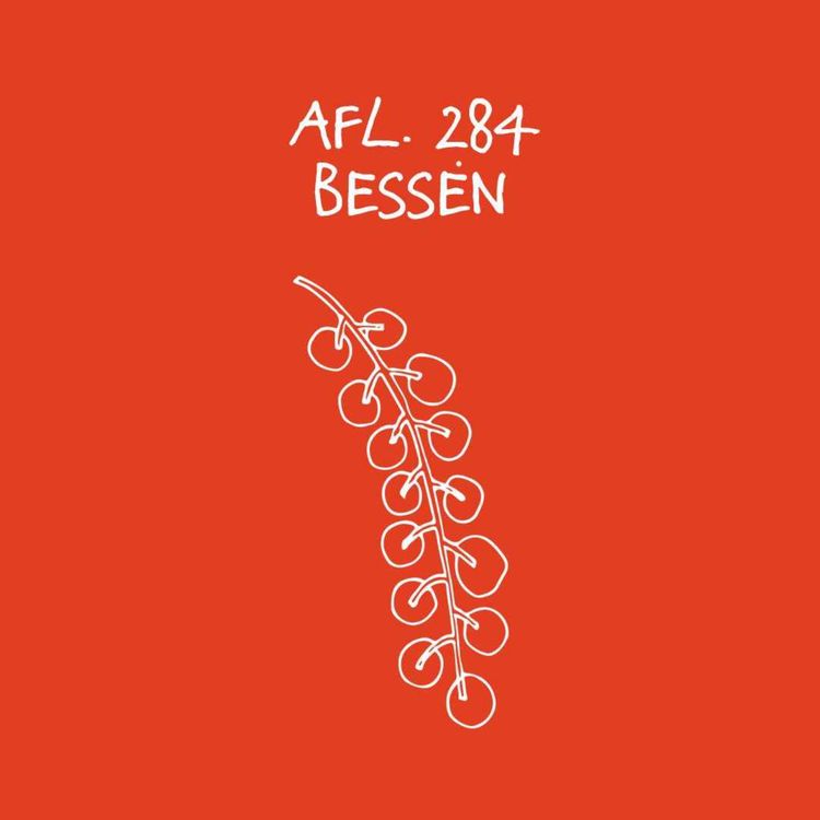 cover art for #284 - Bessen