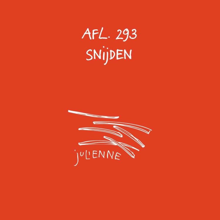 cover art for #293 - Snijden