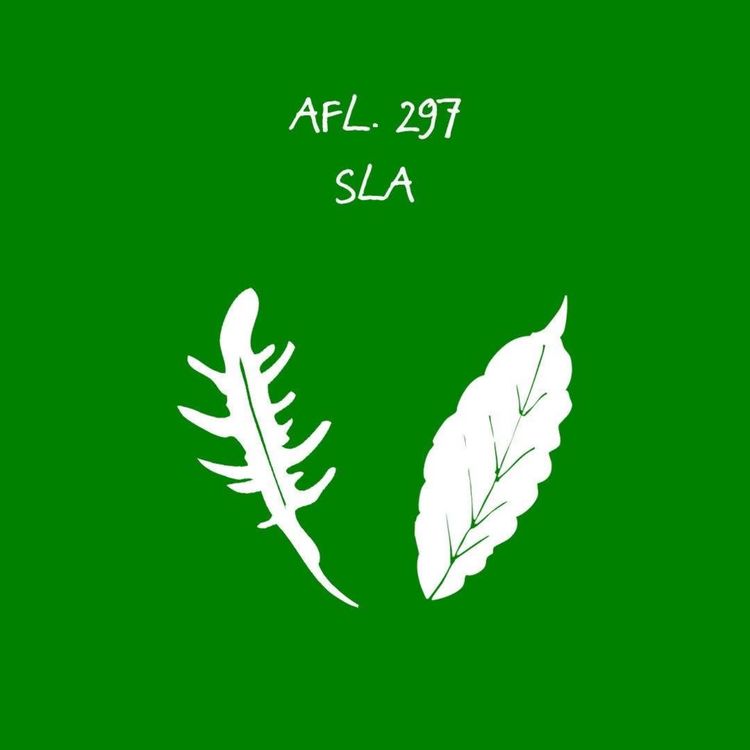 cover art for #297 - Sla