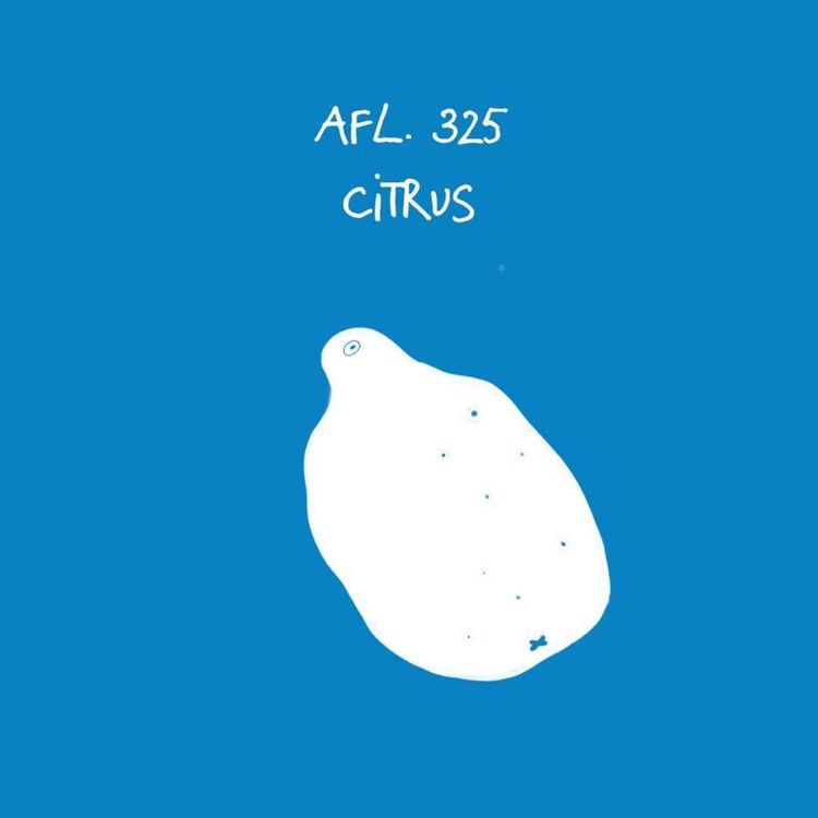 cover art for #325 - Citrus