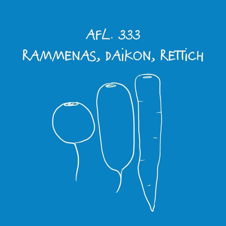 cover art for #333 - Rammenas, daikon, rettich