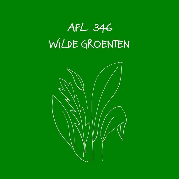 cover art for #346 - Wilde groenten