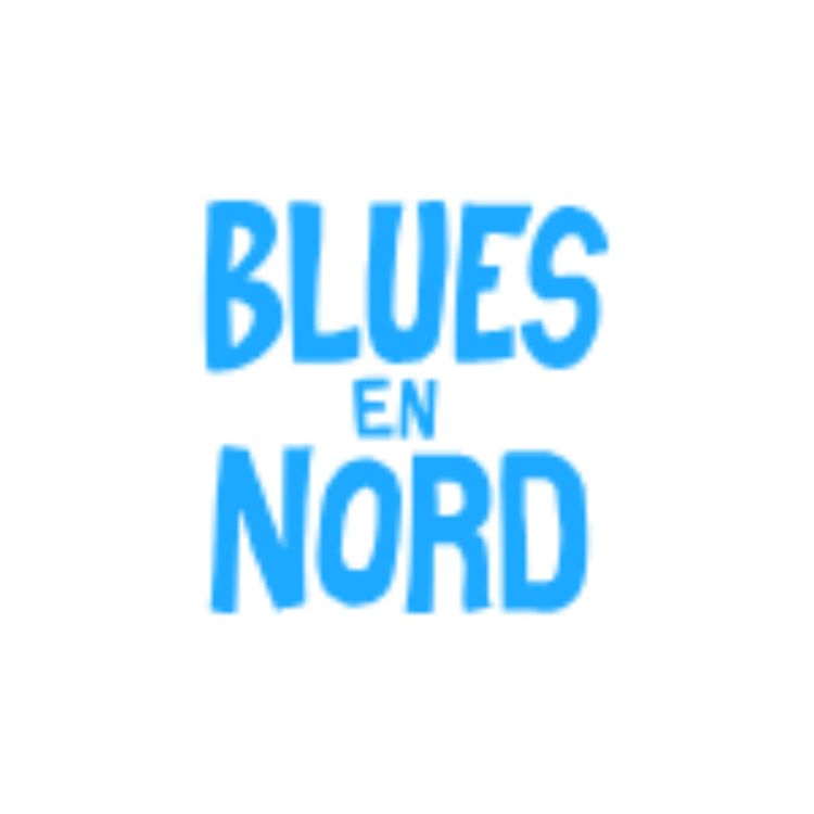 cover art for Invité Patrick Dallongeville / Blues en Nord