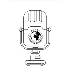 cover art for Les Briefs de l'AMRI