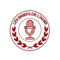 cover art for Les Briefs de l'AMRI