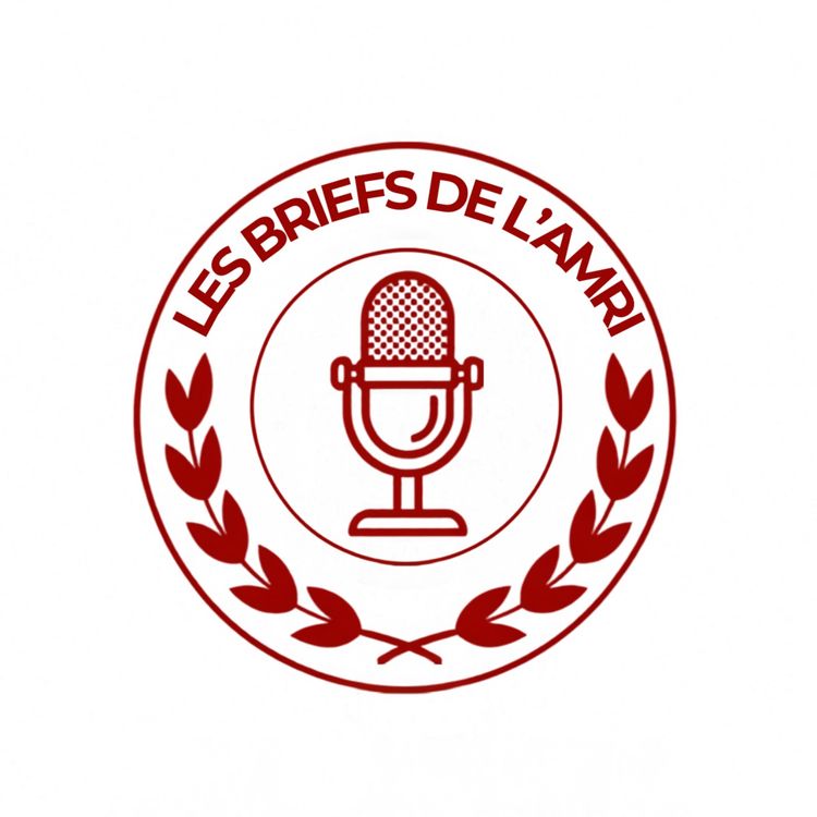 cover art for S2 - EP3 Échange avec Mr Nicolas Normand - ancien ambassadeur