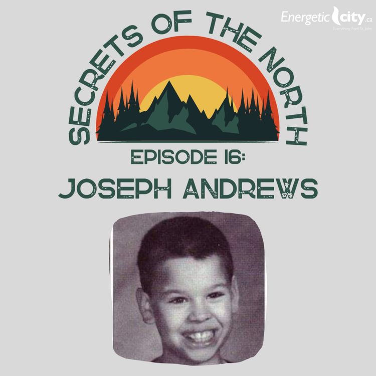 cover art for Joseph Andrews