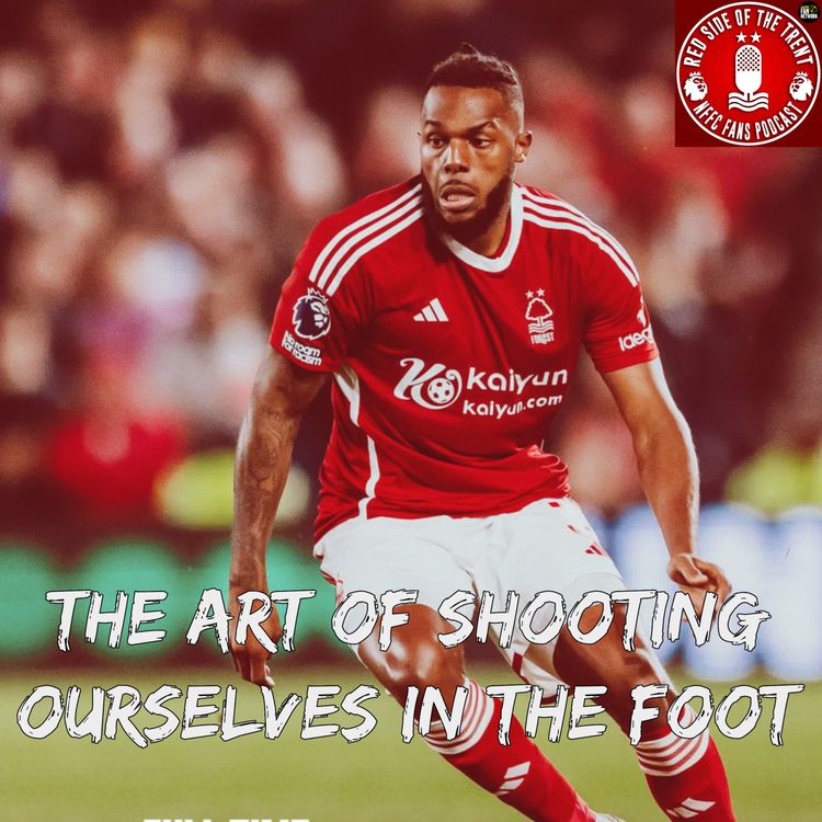 cover art for The art of shooting ourselves in the foot