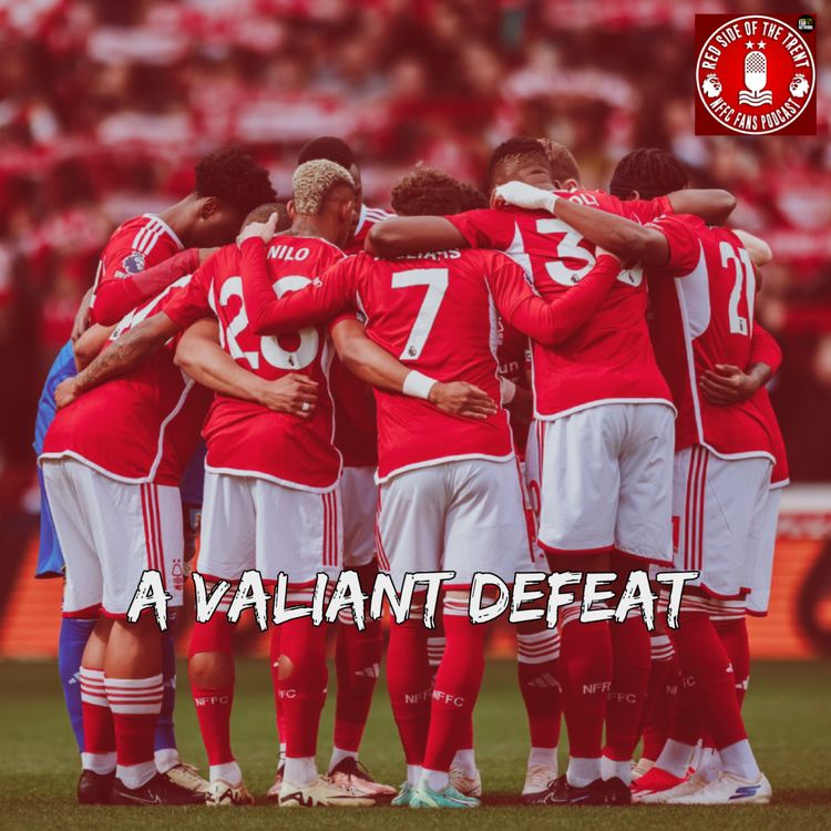 cover art for A valiant defeat