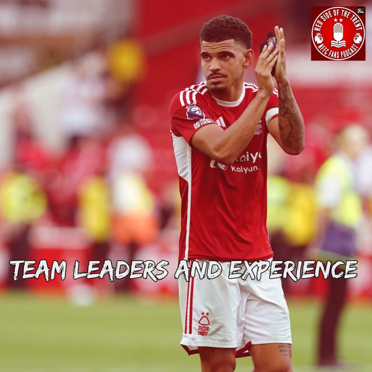 cover art for Team Leaders and Experience