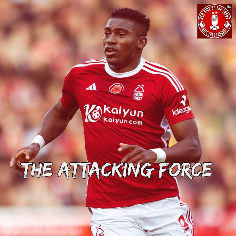 cover art for The attacking force