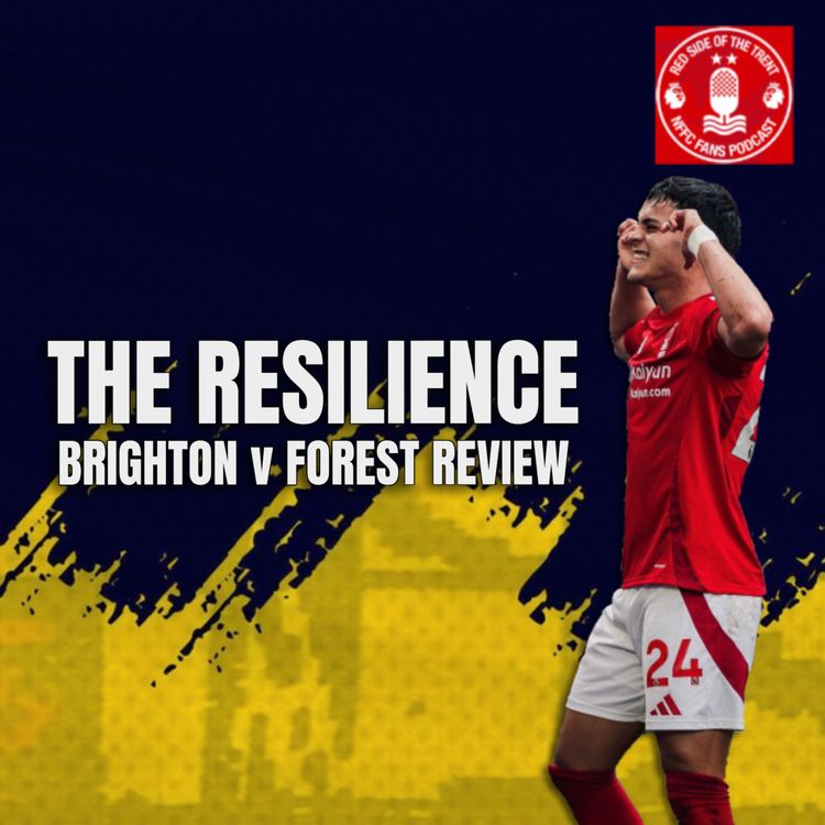 cover art for The Resilience | Brighton 2-2 Forest