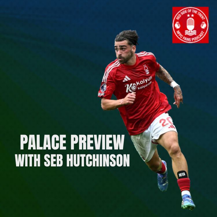 cover art for Seb Hutchinson previews Palace with us