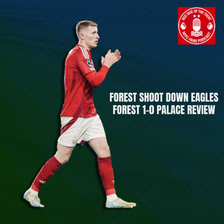 cover art for Forest shoot down Eagles