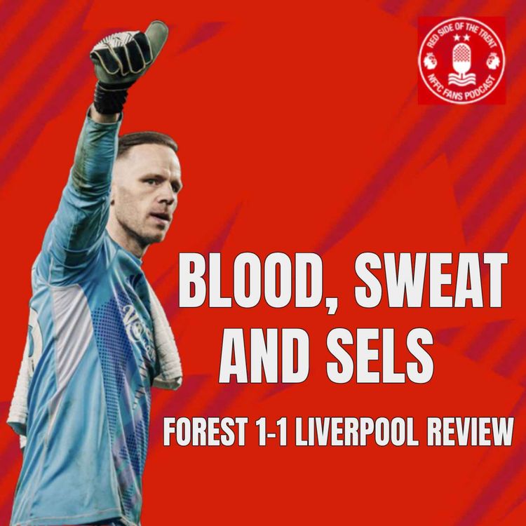 cover art for Blood, sweat and Sels