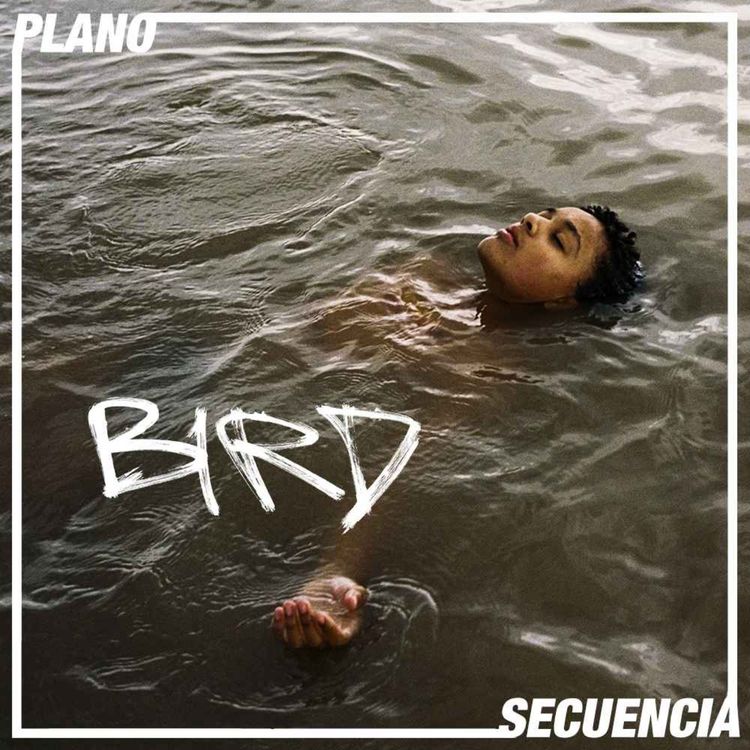 cover art for Bird: Emprender el vuelo