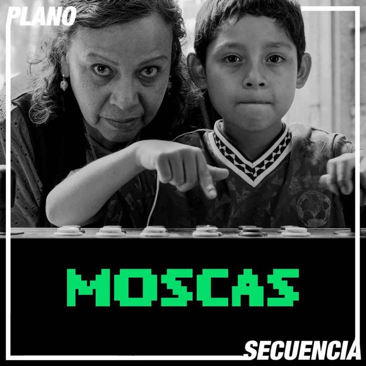 cover art for Moscas