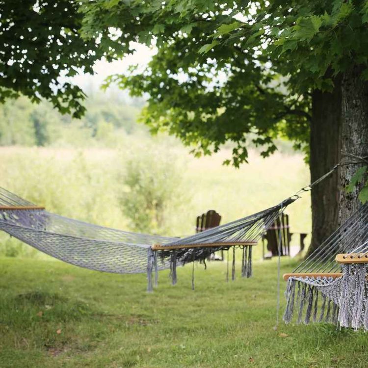 cover art for Spring chill