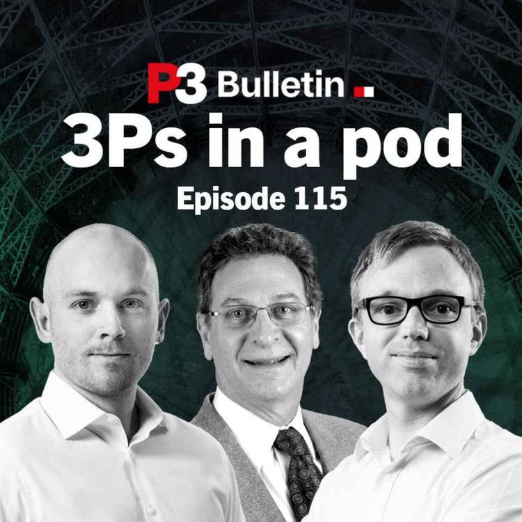 cover art for Episode 115: Michael Shapiro on his handbook for project delivery