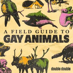 cover art for A Field Guide to Gay Animals