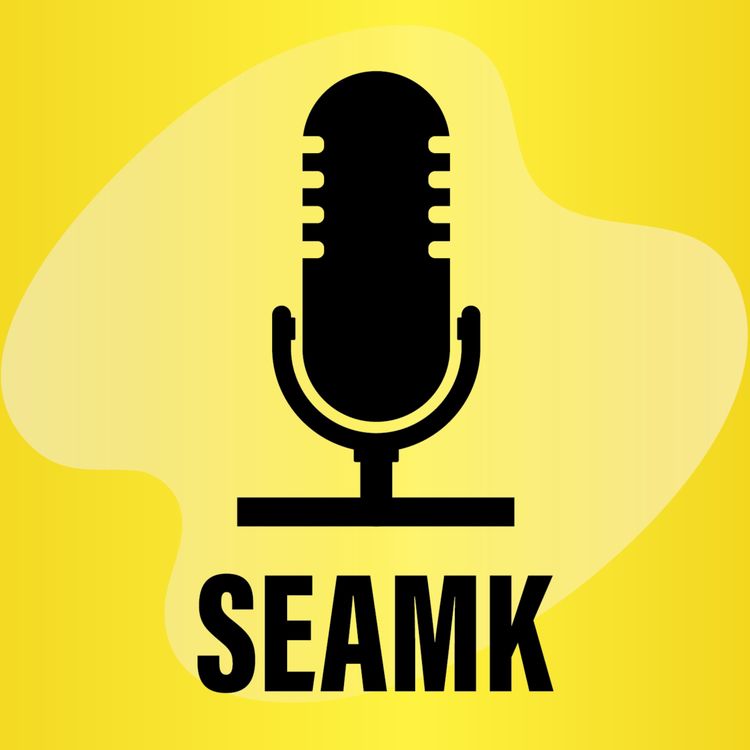 cover art for Toiminimiyrittäjyys - KEMMO-hanke