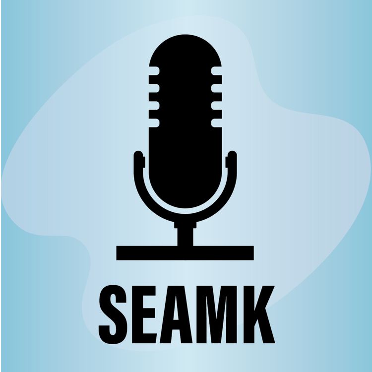 cover art for Kahden tuulivoimahankkeen kokemuksia - TUULI-hanke