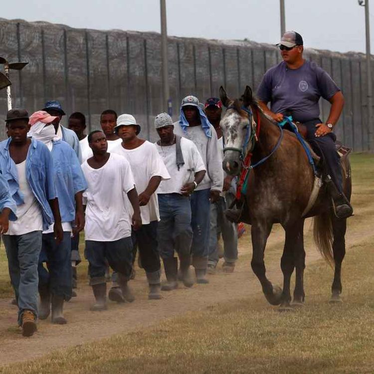 cover art for Angola State Prison Visit
