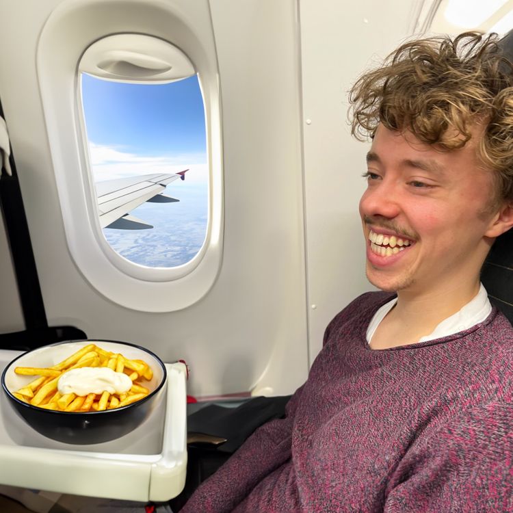 cover art for wie schmecken POMMES im FLUGZEUG?