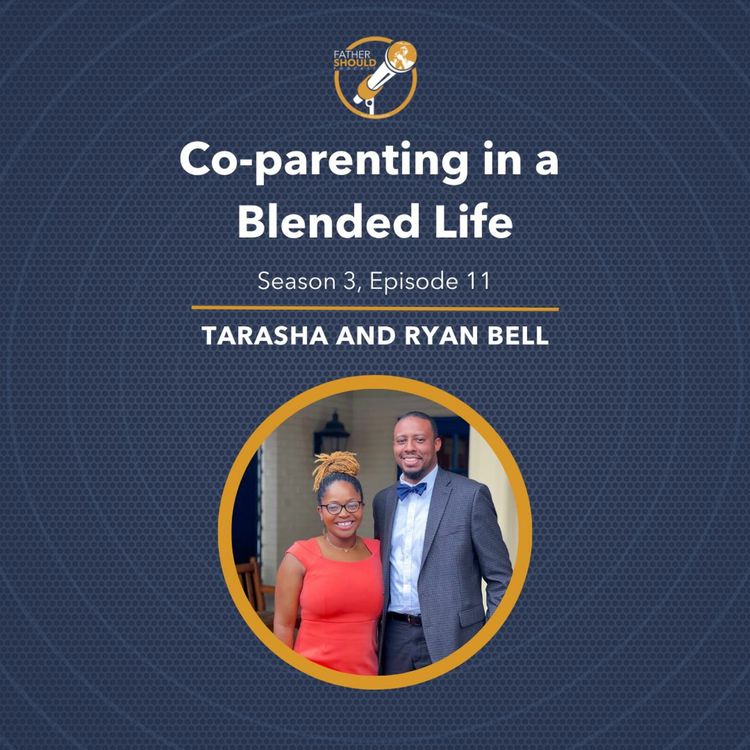 cover art for Co - Parenting In A Blended Life