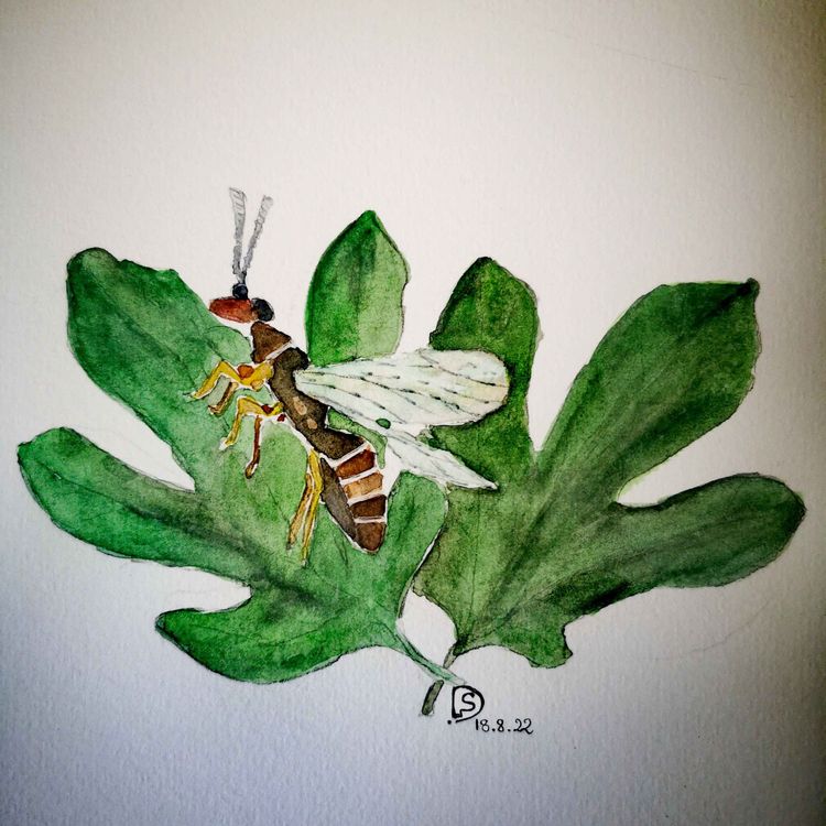 cover art for Episode 3