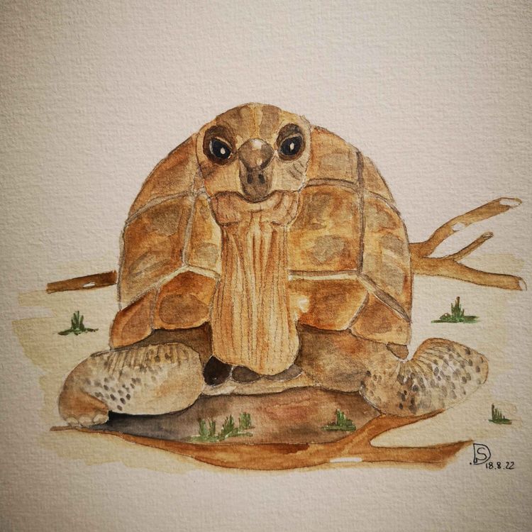 cover art for Episode 4