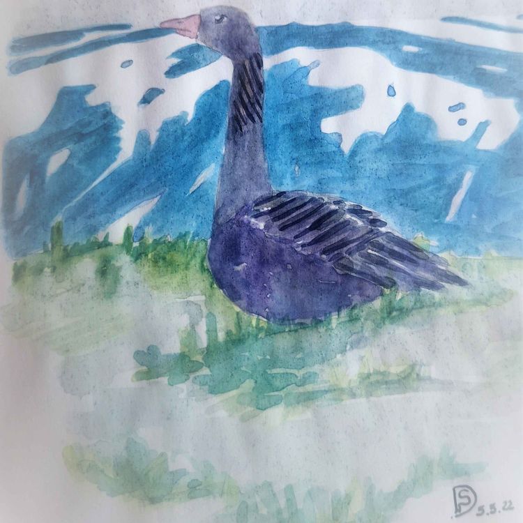 cover art for Episode 5