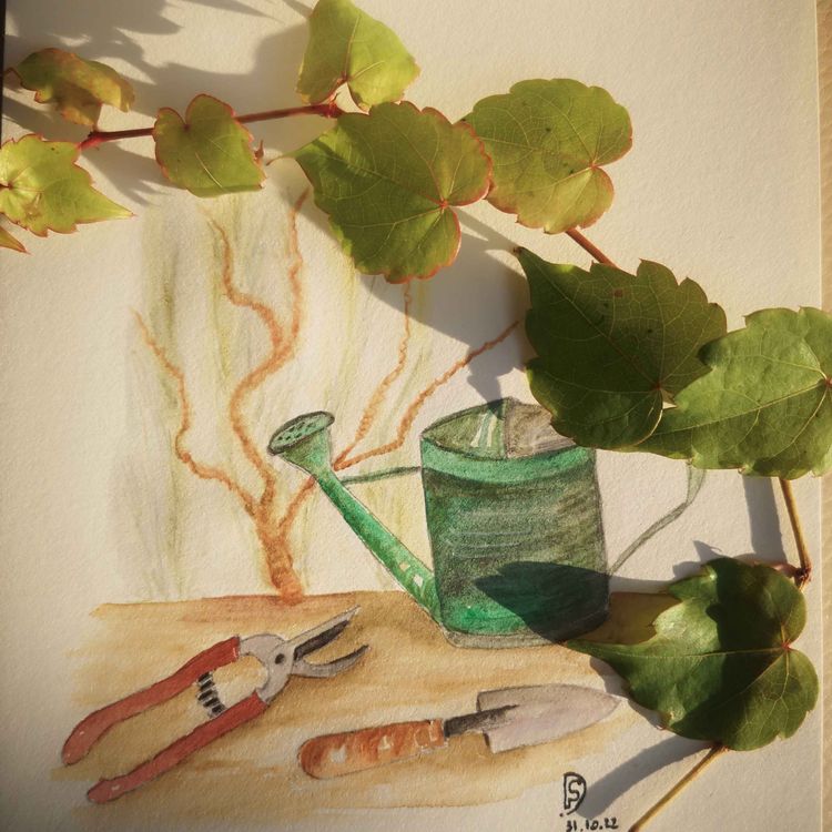 cover art for Episode 6