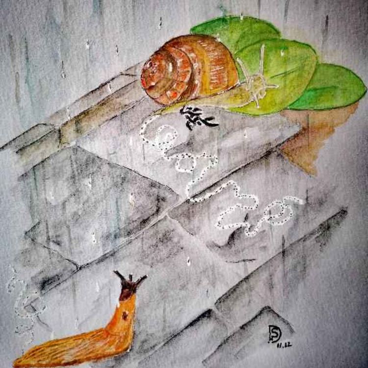 cover art for Episode 8