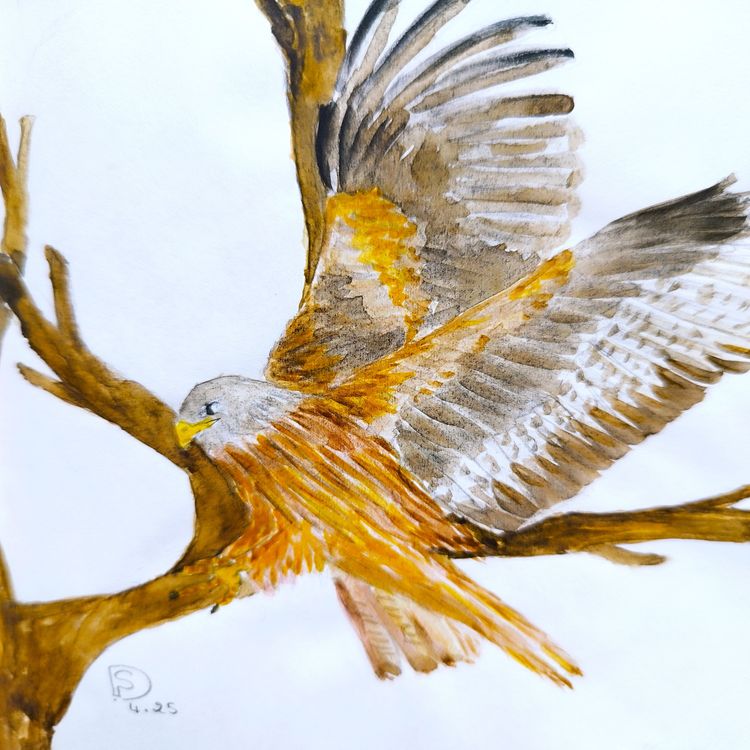 cover art for Saison 3 Episode 2