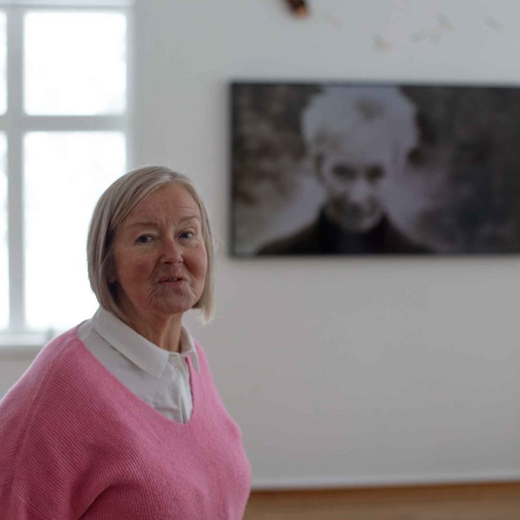 cover art for Sara Lidman 