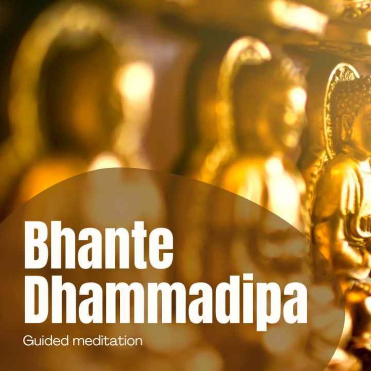 cover art for Bhante Dhammadipa 2022/ Stíšenie v mahajáne