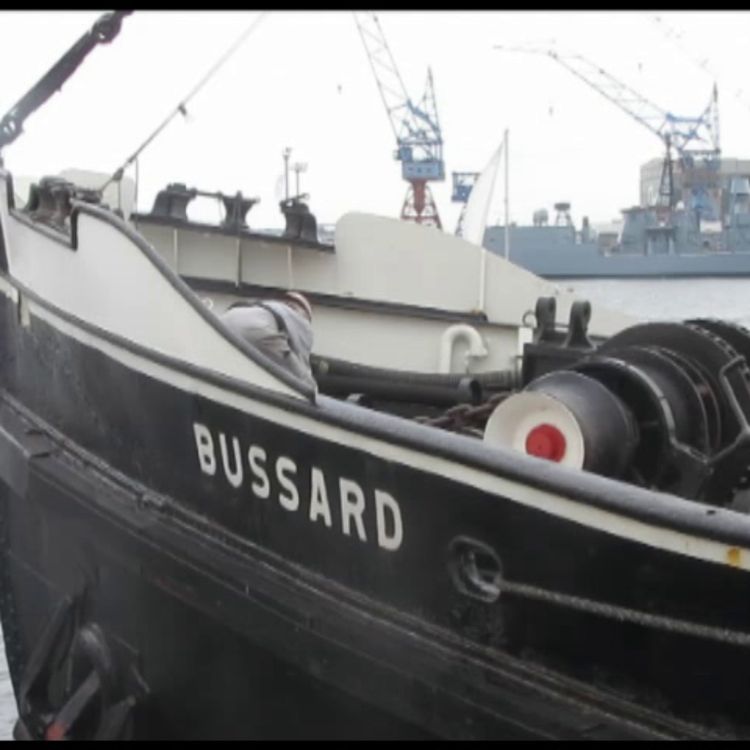 cover art for Tonnenleger Bussard