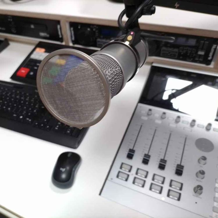 cover art for Das Netzwerk für revolutionäre Ungeduld e.V.