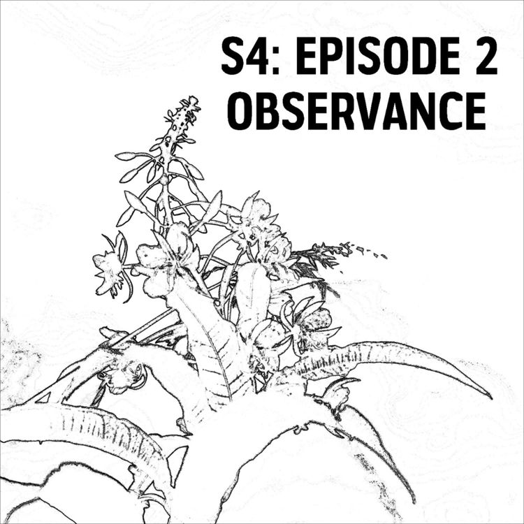 cover art for S4: E02 - Observance