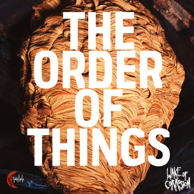 cover art for The Order Of Things - 4