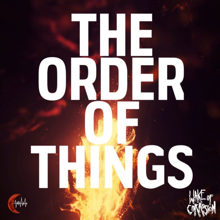 cover art for The Order Of Things - 6