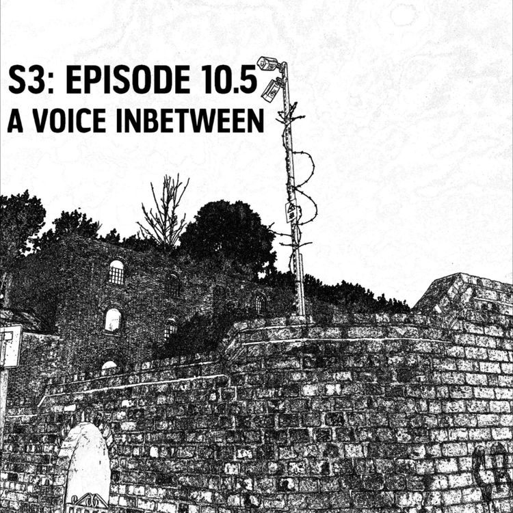 cover art for S3: E10.5 - A Voice Inbetween