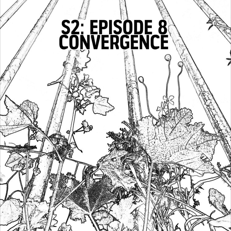 cover art for S2: E08 - Convergence