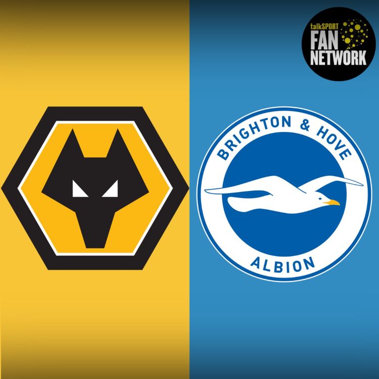 cover art for Wolves v Brighton PREVIEW Can Wolves break the bogey team curse this time?