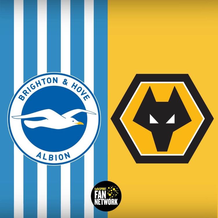 cover art for Can Wolves Break the Seagulls Bogey? MATCH PREVIEW Brighton v Wolves