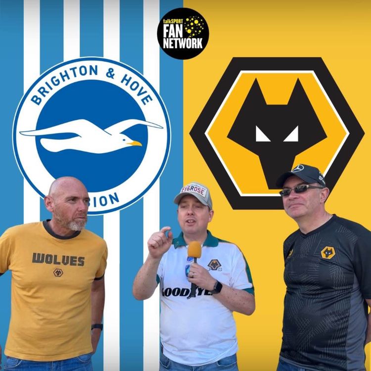 cover art for DISCONNECTED 😔 Brighton 3-0 Wolves Instant Fan Reaction | Premier League