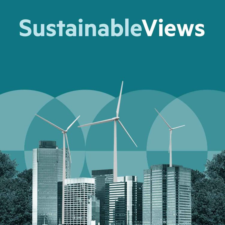 cover art for Sustainable Views: Why businesses should be at COP