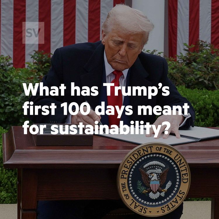 cover art for What has Donald Trump's first 100 days meant for sustainability?